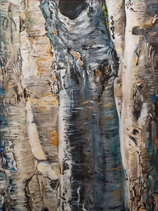Birch Trees - Framed Poster